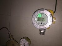 H2 Fixed Gas Detector